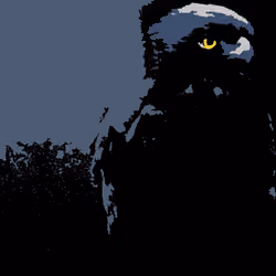 Hawk