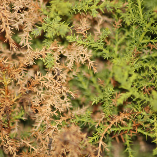 51124555051901614330264480006545612592022390906904121289505624520627283034113