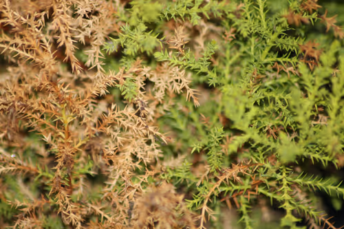 Item #51124555051901614330264480006545612592022390906904121289505624520627283034113 Media