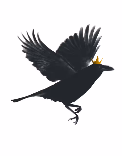 Item #24618594739772325081071012251968077253983773594612099830659053156808429404170 Media