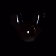 104211370179733512923281294694443017629697458273212282200713023150316702400513