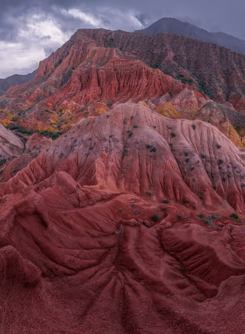 Item #104222477878936975550568713233497043538790385416897933242955975560638685511681 Media