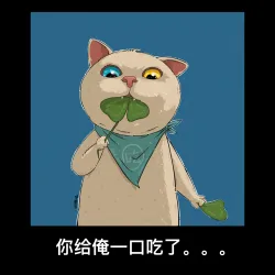 Lover Cat #77