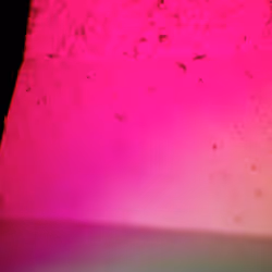 71646257518770613568983710813551014237803002136866425209291834723384447467521