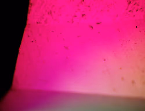 Item #71646257518770613568983710813551014237803002136866425209291834723384447467521 Media