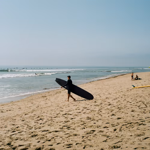 California Gold
