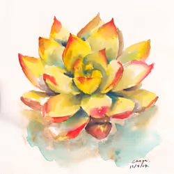 Yellow Succulent Plant