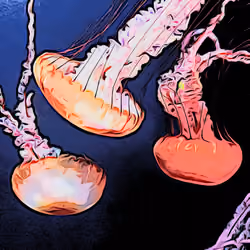 Jelly Jill Water Under View # 17