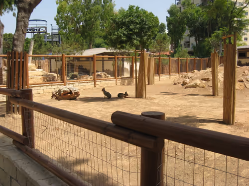 Item #49780404214023394125628081485635193078207366864253774489702248287226170441729 Media