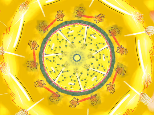 Item #8284029784367561882257401733712819662495565409482430107120465669571202777089 Media