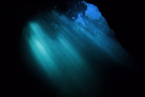 Item #25422583313571458459737529461820134862175223810011730482418987912348397731841 Media