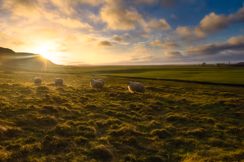 Item #58191911993214958366057876980746717260222726507823822186023823057152821428225 Media