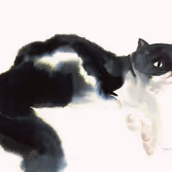meaow#12
