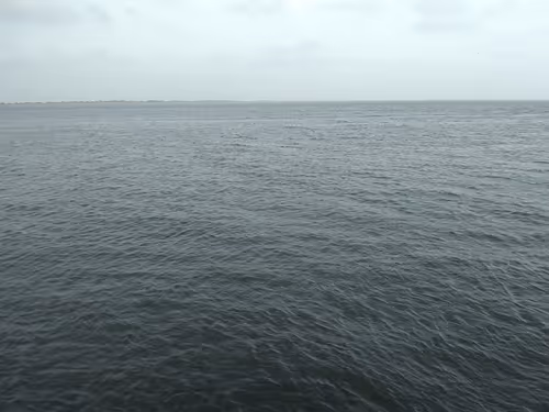 Item #68930698527264809190468656590261820993623292496804910864436067700816251715585 Media