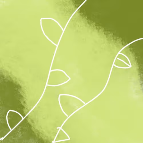 RoseLovely Collection