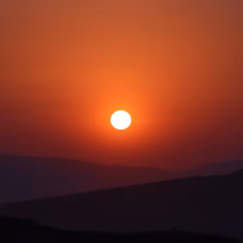 Untitled Collection #87188630