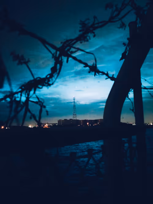 Item #27808391261739682212978994508134767813095033586491870534816189114116391043073 Media