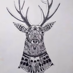 kaza