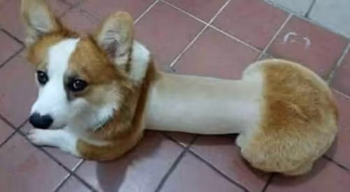 Item #114036893369359565970407198200543754236659627610404248384138397995915745951745 Media