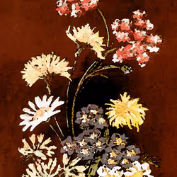 10162537437224382031479019658551907585229278444242708151782220026333209034753