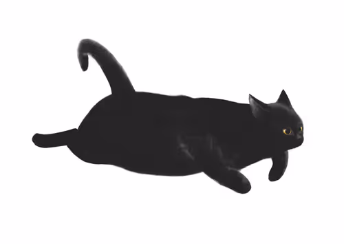 Item #82695799108276642583323751934613913274690371258081772662869305540991317442565 Media