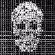 SKULL #0011
