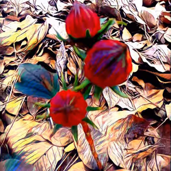 81269833061274051173789884418282317830923519221172308843662164487868143108097