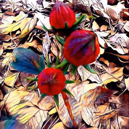 81269833061274051173789884418282317830923519221172308843662164487868143108097