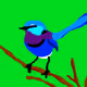 88031841997041539573569062942316990657016225546447102769816816499580863512577