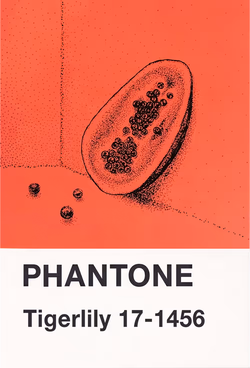 Item #23619072769629648887099014645842319039725167025197022934232545146409681158145 Media