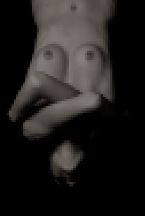 Item #32997355507838235832071597187323206581324723315395957158335053466230969073665 Media