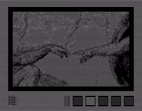 Item #92055628697049432022370219955256261220910988073026627681244356992674148909088 Media