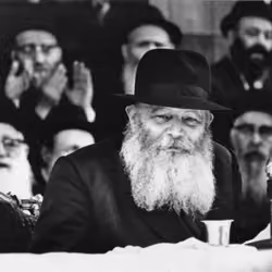 Rabbi de Loubavitch #5