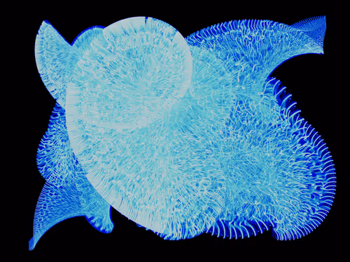 Item #45731211464929816441170859700976373292149702980452148839612469057860237524993 Media