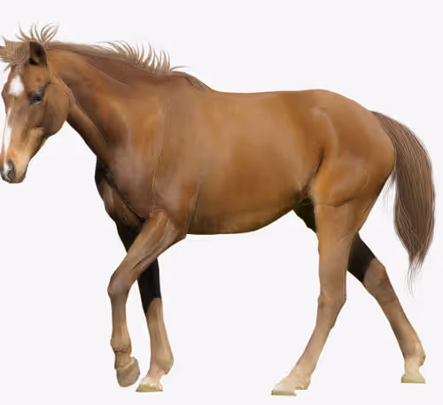 Untitled Collection #62181106