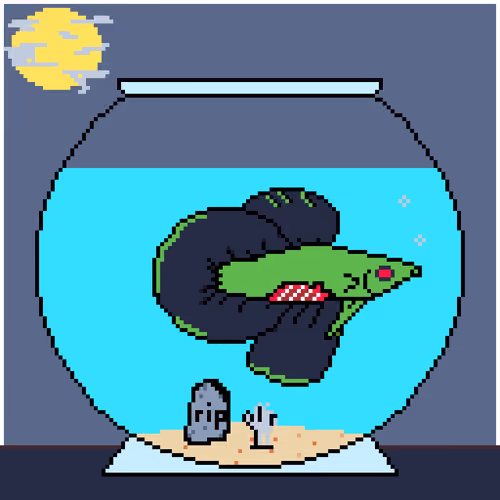 ALPHA BETTA 28