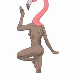 Flamingo