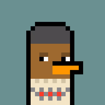 Duckie #2536