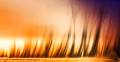 Item #104373062837005335959774005928354164077320710388695757957551665445695316295681 Media