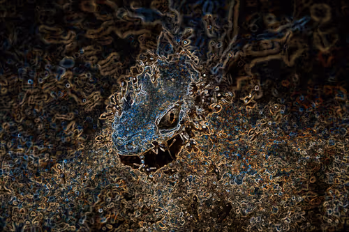 Item #112357457195153001497773786489249045252427376720708510106941895556237308723201 Media