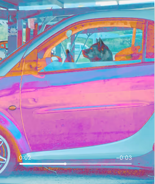 Item #37090641988266817070594351816682914286400080657850041809658347664854617161729 Media