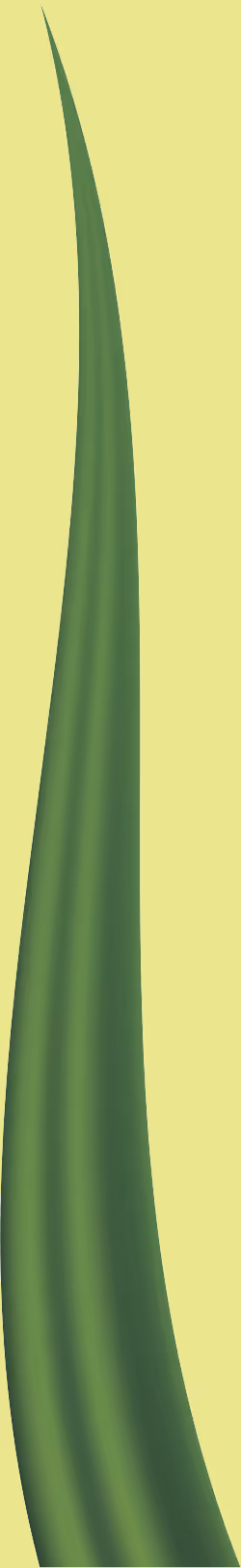 Item #78763235517899702300642317908544281341520076745003203023483946000505286688769 Media