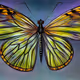 5351841769034130864345975810750886577780278962711290649937766845681936367617