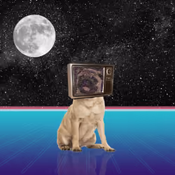 Ground Control To Major Pug