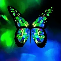 Crypto Multicolor Butterfly 6/6