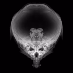 Alien Embryo - 271 of 2000