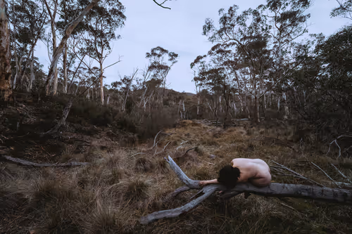 Item #61391337171317140422773218600803831211988989866451472612993262358177916125185 Media