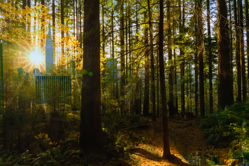 Item #91592653523735085414291171067328222333896659199154032470463350591514992443393 Media