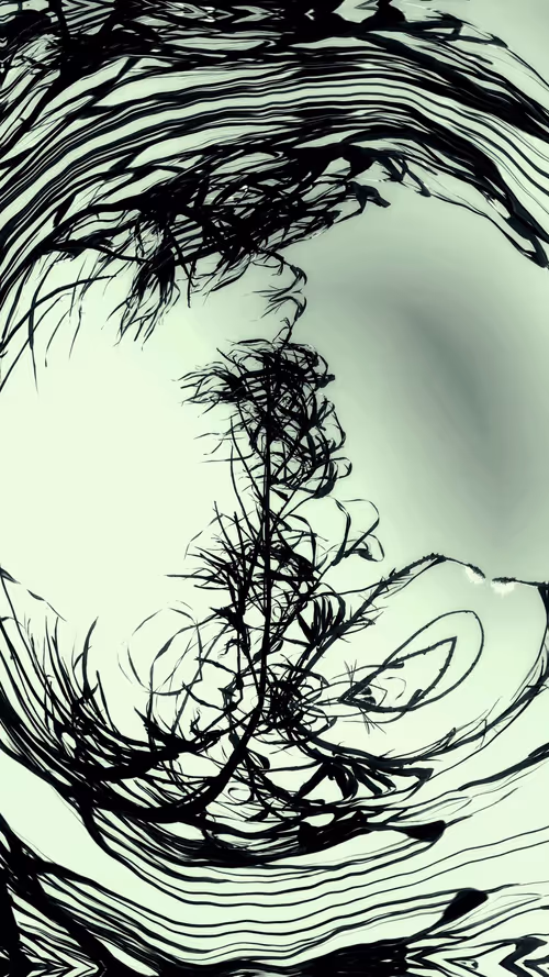 Item #24967146477419090921560663038626653354572651960968859782515528582388449804289 Media