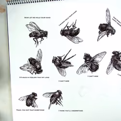 Art series #1 - Beesong